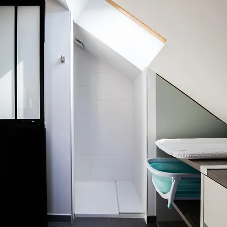 公寓 Duplex Albigny 3 Minutes Du *