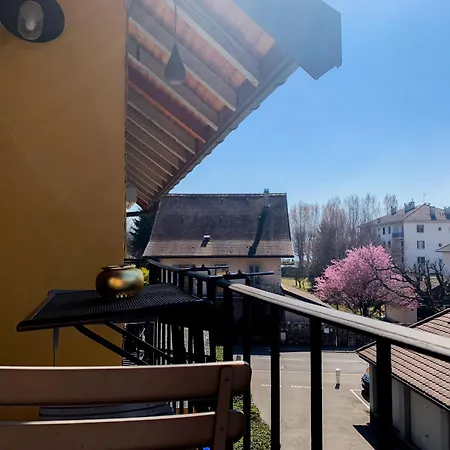 公寓 Duplex Albigny 3 Minutes Du 阿讷西